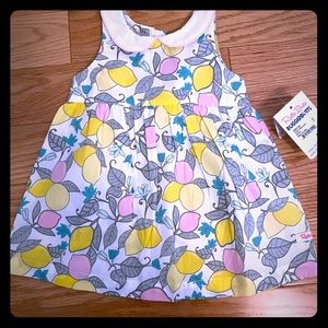 6-12 mo 🍋 Ruffle Butts pan collar summer dress 🍋